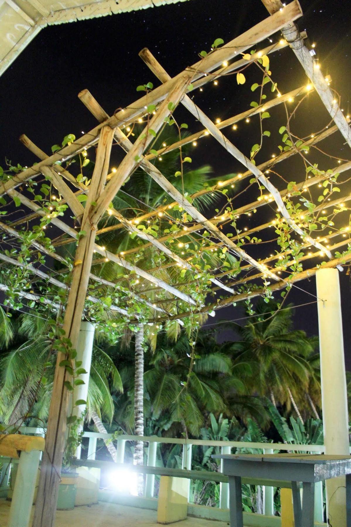 Casa Delfin Guest House Las Terrenas Exterior photo